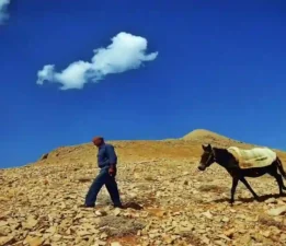 Nemrut Dağı’nda taşımacılık