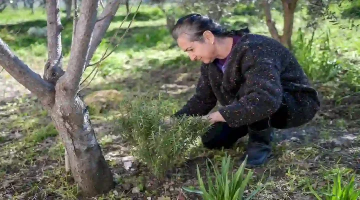 Meslek Fabrikası kursiyeri üretici oldu