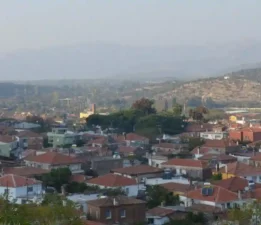 Bafa Nasıl Kurtulur?