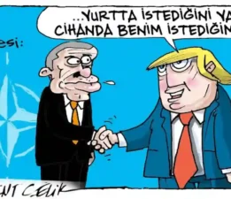 Karikatür Gibi Memleket