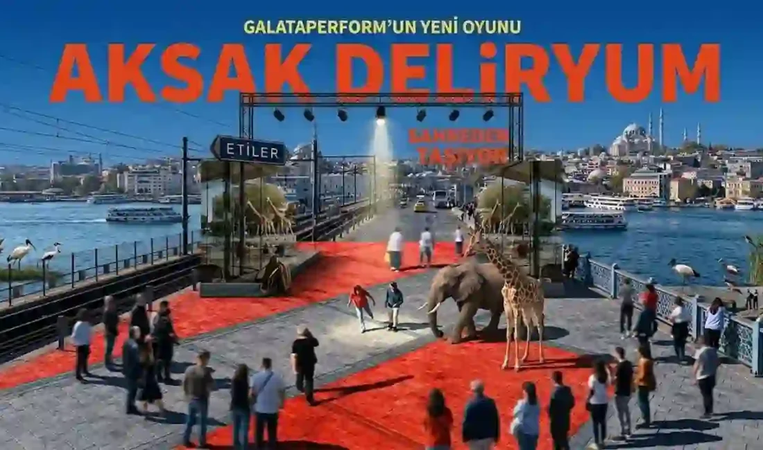 GalataPerform’un 30. İstanbul Tiyatro Festivali’nde Alan Kadıköy’de 24-25 Kasım’da sahnelenecek