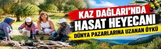 Nermin Hanım Zeytinliği, Kaz Dağları